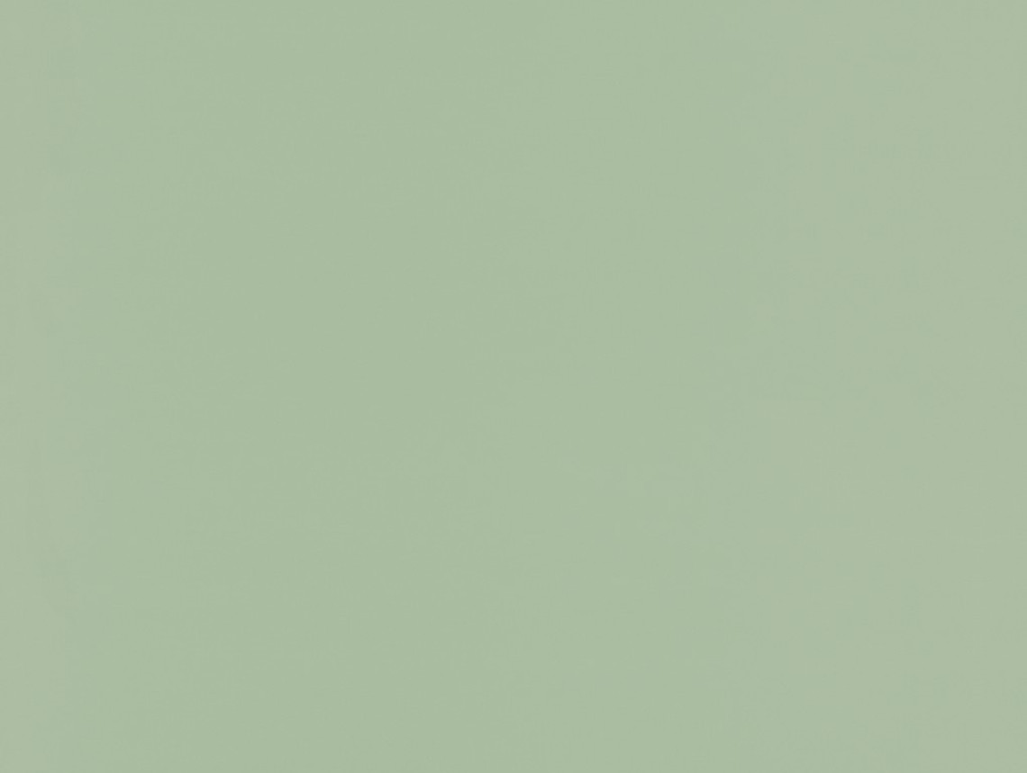 Taralay Impression Compact - 1082 Uni Matt Light Green